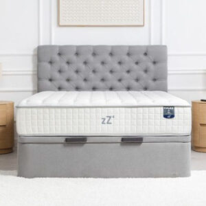 zZ4 Medium Multisense